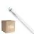 Voordeelpak 10x Philips Master LED Buis T8 (EM/Mains) High Output T8 11.3W 2100lm - 865 Daglicht | 120cm - Vervangt 36W
